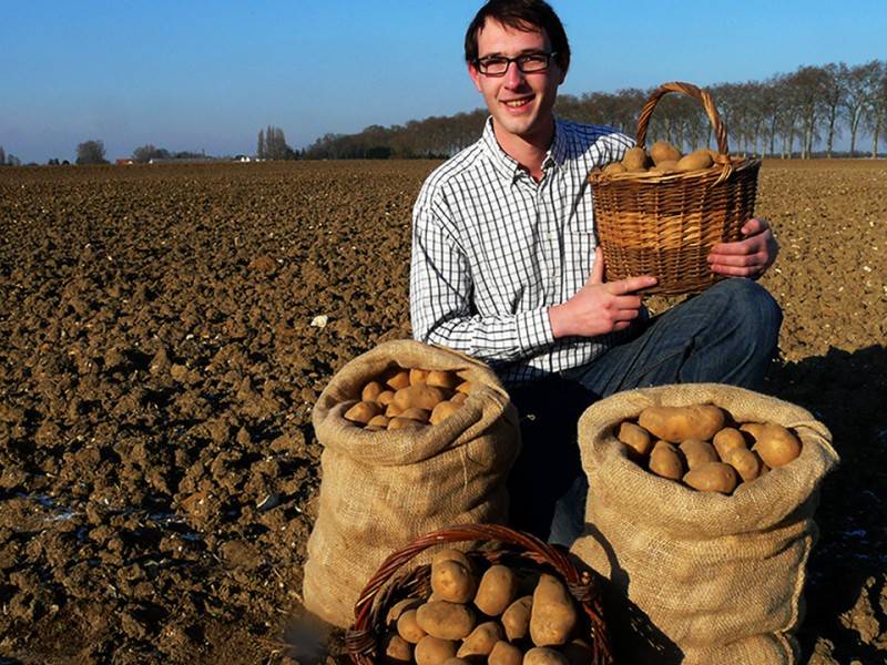 Producteur de pomme de terre Réau Ferme d'Eprunes